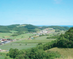 farmer_topfarm01 farmer_topfarm01