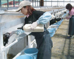 farmer_topfarm02 farmer_topfarm02