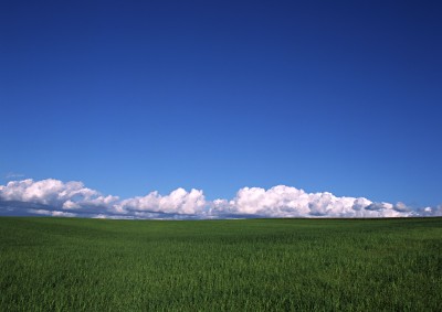 n-continent